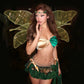 Tinker Belle Wings