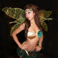 Tinker Belle Wings
