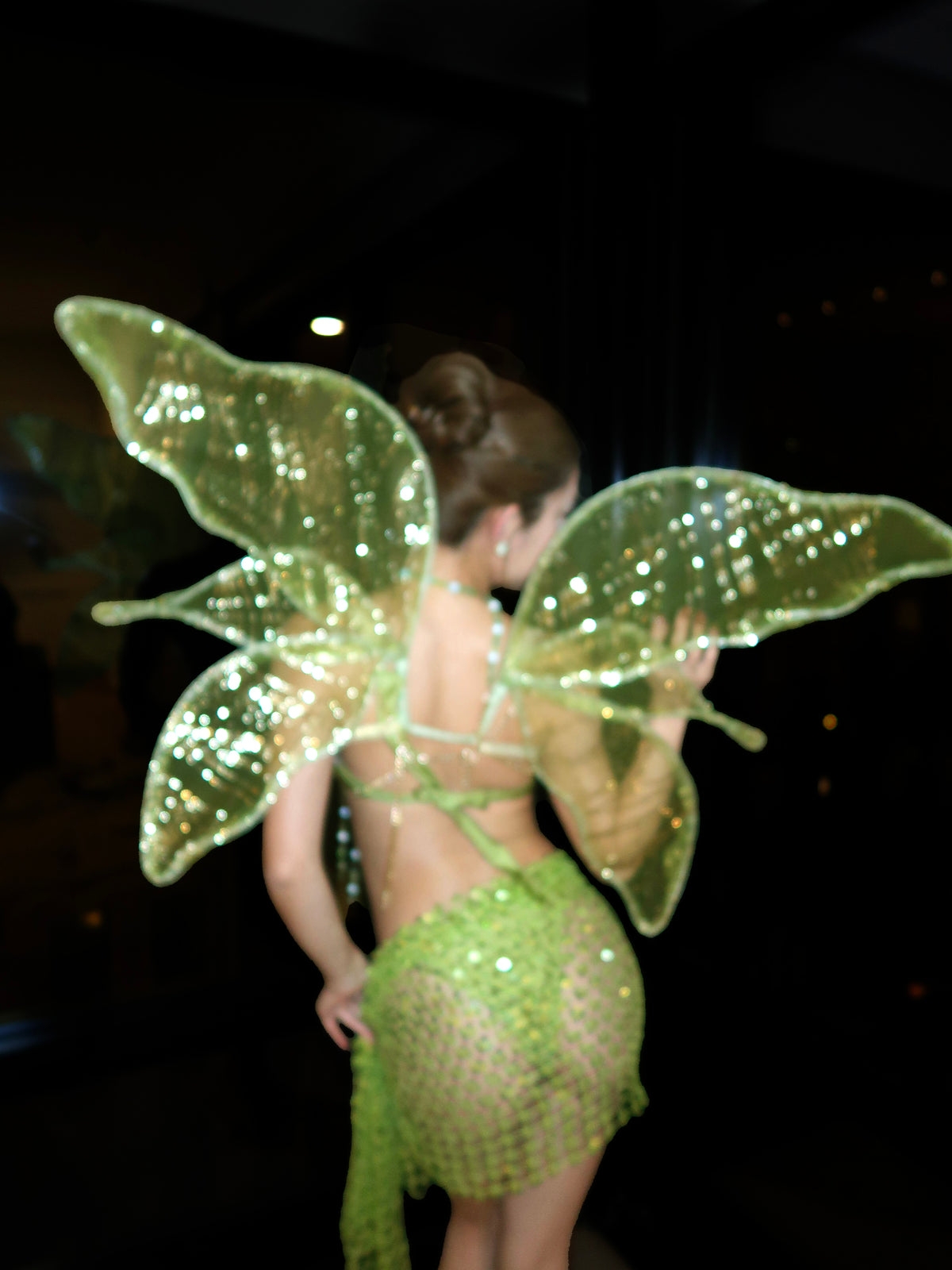 Tinker Belle Wings
