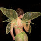 Tinker Belle Wings